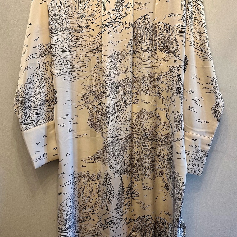 H&M Satin Shirt Dress